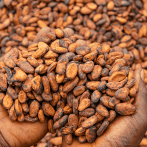 COCO BEANS - Sourced from trusted farms for consistent quality.