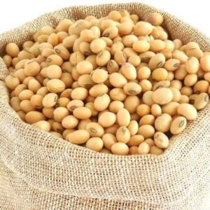 SOYBEANS - Clean, sun-dried soybeans suitable for oil extraction, flour production, and animal feed.