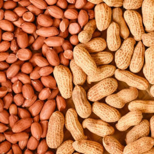 GROUNDNUTS - Premium groundnuts, available raw, roasted, or blanched.